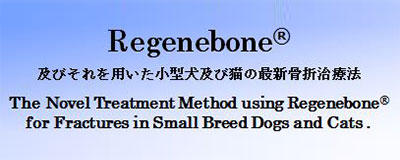 日本発の骨折治療法